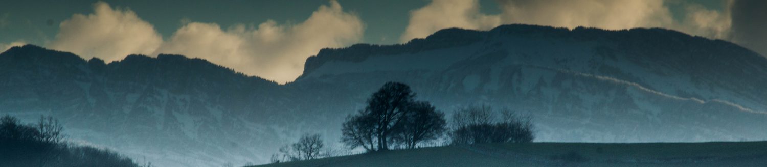 cropped-20171223_1903261.jpg